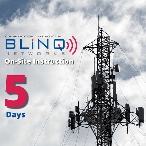BLiNQ Networks On-Site Instruction for 5 Days - BLiNQ Networks - (Dev) Baltic Networks