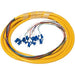 Primus Cable 3m LC/UPC, 12 Strand, Single Mode, 9/125, Fiber Pigtail - Primus Cable - (Dev) Baltic Networks