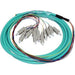 Primus Cable 3m SC, 12 Strand, Multi Mode, 50/125 OM3, 10Gbps Fiber Pigtail - Primus Cable - (Dev) Baltic Networks