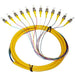 Primus Cable 3m ST, 12 Strand, Single Mode, 9/125, Fiber Pigtail - Primus Cable - (Dev) Baltic Networks