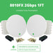 Siklu 8010FX 2Gbps Link with 1FT Antenna and ExtendMM - Siklu - (Dev) Baltic Networks
